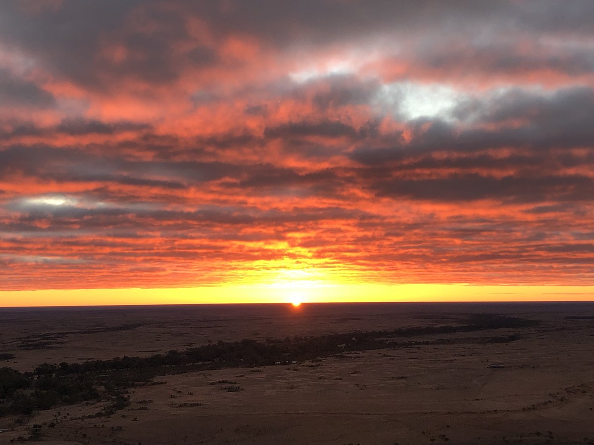 melaniefinch_'s tweet photo. Day 92: Sunset over Eldee station in the Australian outback near Broken Hill, far west NSW
#100daysofgeoscience https://t.co/qOaIhh7myM
