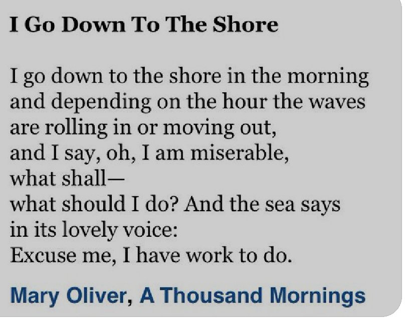 FolksyShark's tweet photo. I Go Down To The Shore by Mary Oliver from A Thousand Mornings #poetry #excuseme #IHaveWorkToDo https://t.co/uD8bb3IO1q