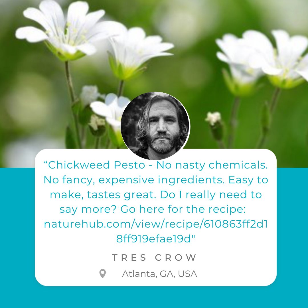 nature_hub tweet picture