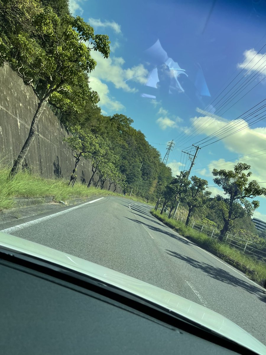 miii589's tweet photo. 光合成は必要だね😇

2日間1歩も外へ出なかったのは
久しぶりでした🙄 https://t.co/CcQeGMmsoR