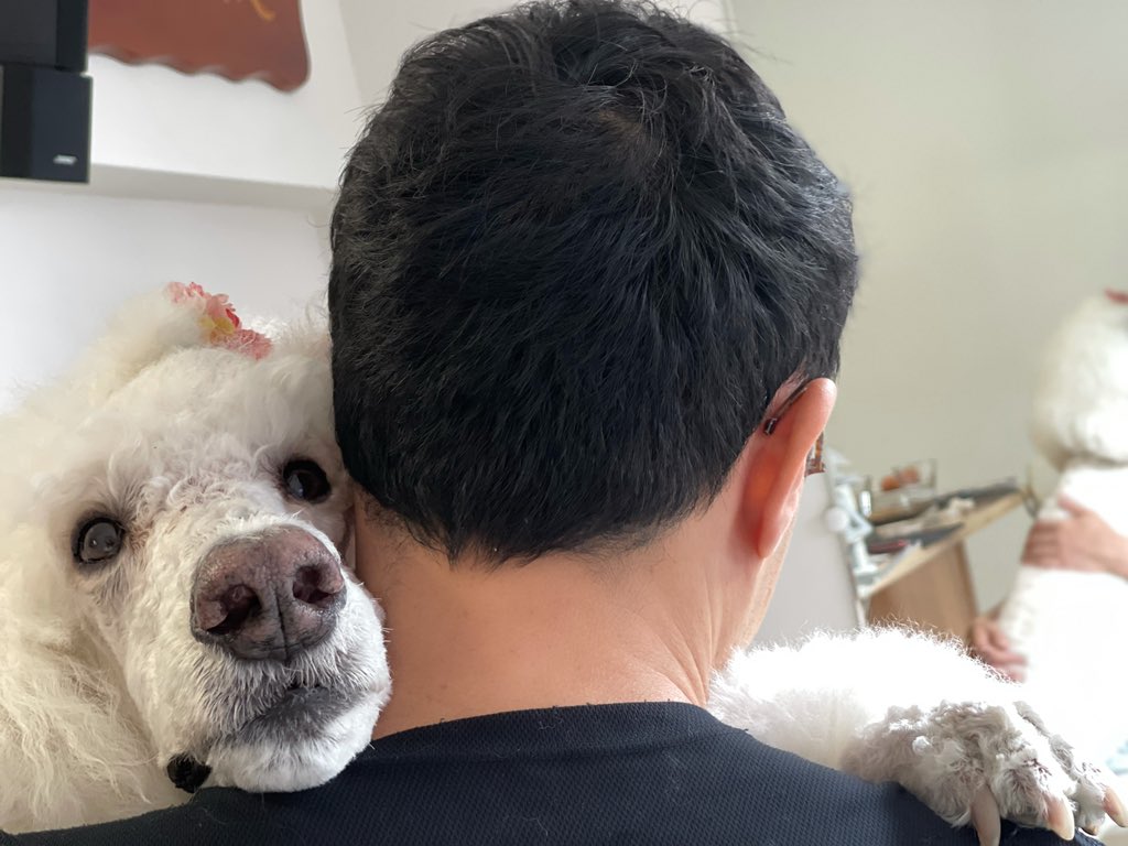 フランソワ王国