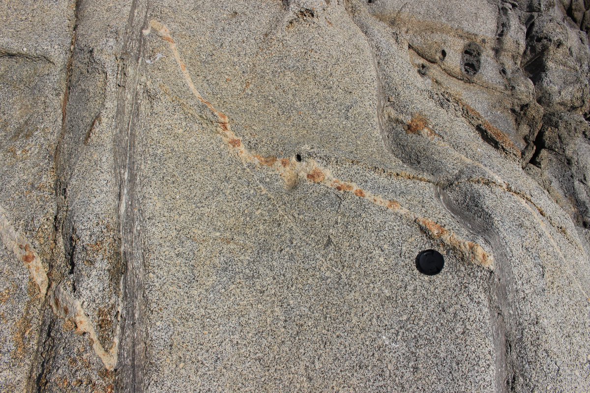 melaniefinch_'s tweet photo. Day 94: Leucocratic layer displaced by shear zones in granodiorite zoomed out (photo 1) and close up (photo 2).
#100DaysofGeoscience https://t.co/nUl8mfzqpA