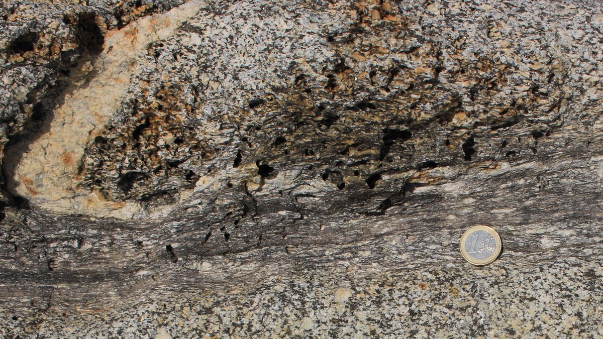 melaniefinch_'s tweet photo. Day 94: Leucocratic layer displaced by shear zones in granodiorite zoomed out (photo 1) and close up (photo 2).
#100DaysofGeoscience https://t.co/nUl8mfzqpA