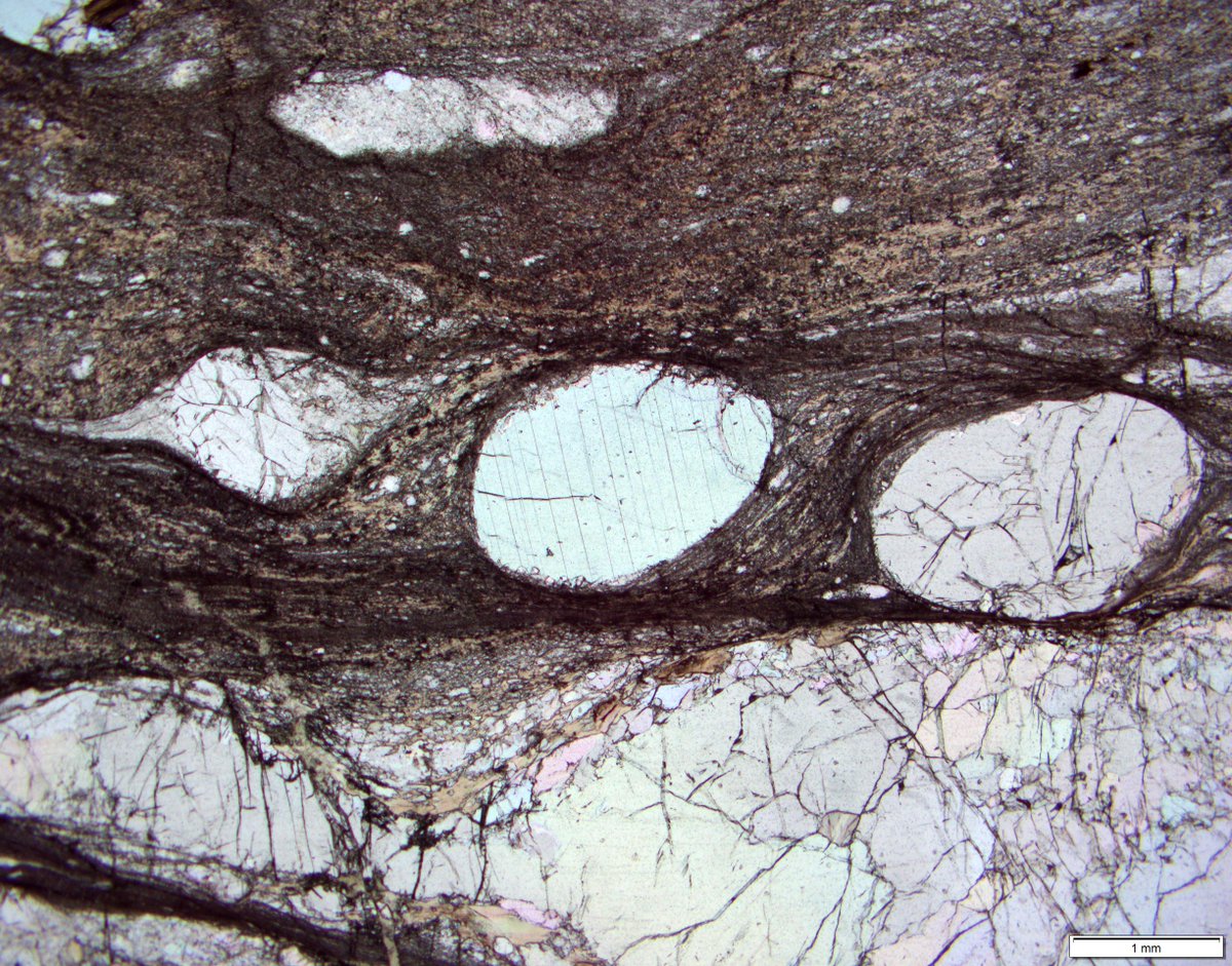 melaniefinch_'s tweet photo. Day 95: Porphyroclasts in ultramylonitic peridotite from the Finero complex, Italy under PPL (#1) and XPL (#2). On the bottom right of centre there is a grain with chessboard extinction. Other grains show kink bands, recrystallisation++
#100DaysofGeoscience #thinsectionthursday https://t.co/2DrKCJAoOi