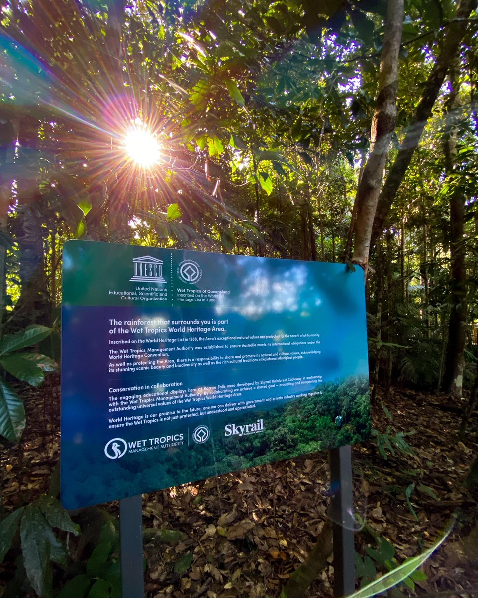 SkyrailCairns's tweet image. As you explore our boardwalks at both #RedPeak and #BarronFalls, be sure to gain a deeper awareness and understanding of the area you are in by reading these signs. Believe it or not, you will be surprised with the new knowledge you have when you leave #TheAncientRainforest 😊�