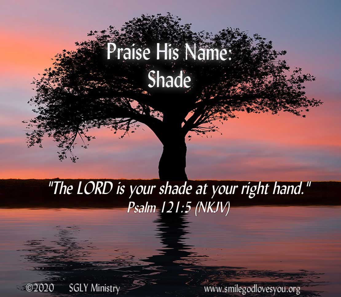 SGLYMinistry's tweet image. Sept. 26–Praise Pause–Day 26–SHADE smilegodlovesyou.org/DD/2021/09/26/… #dailydevotionals #PraisePause #NamesOfGod #Shade