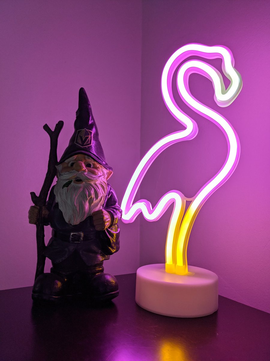 Kylie_Kiel's tweet image. I can't believe we are watching hockey again. Missed it!
Got our @VGKFlamingo lit and our Knight Gnome is ready to cheer!

#FortressAtHome #VegasBorn #VegasGoldenKnights