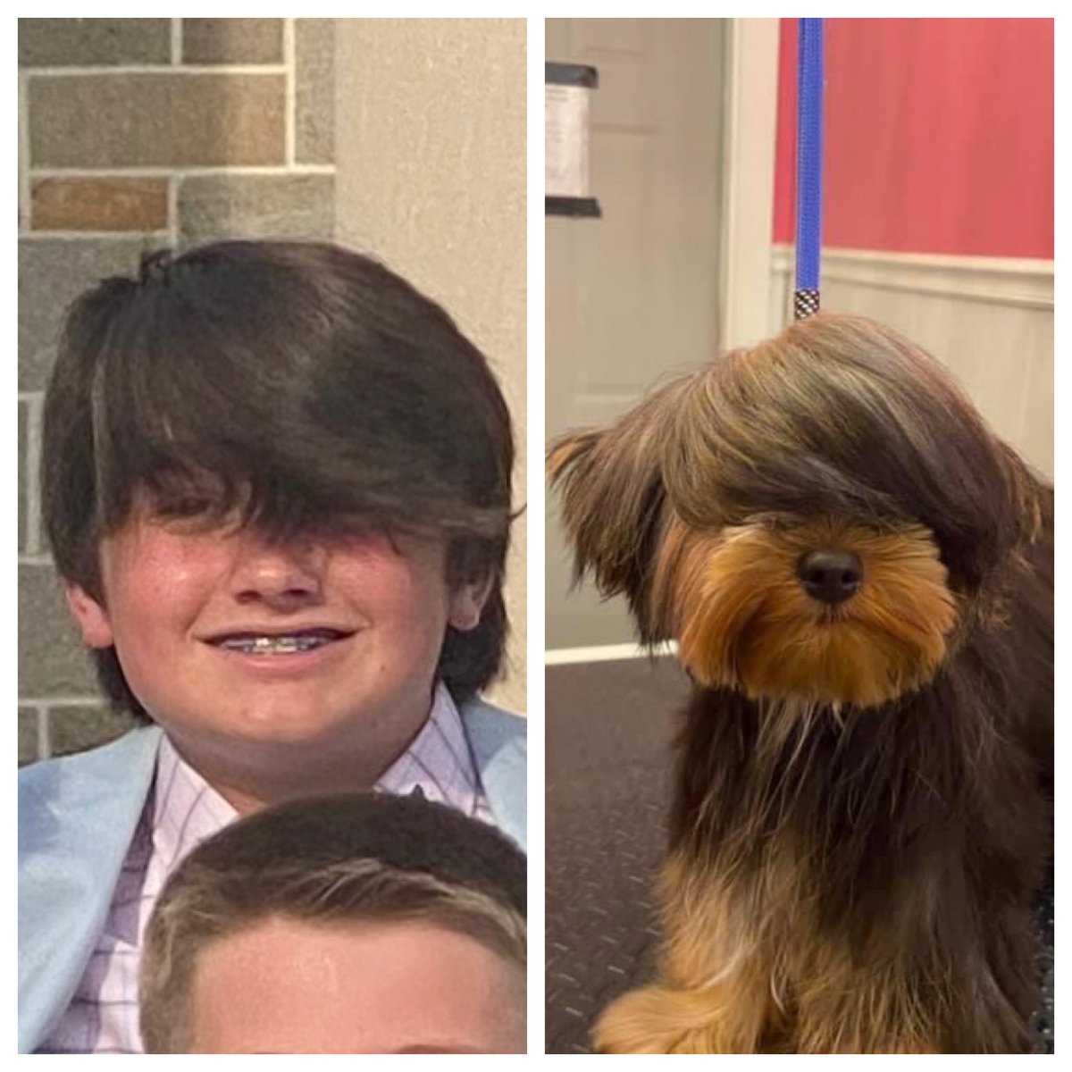 Nicolerx's tweet photo. @dog_rates @Nessa5241 My son feels your pain, Rux! https://t.co/fCWC9tlqgh