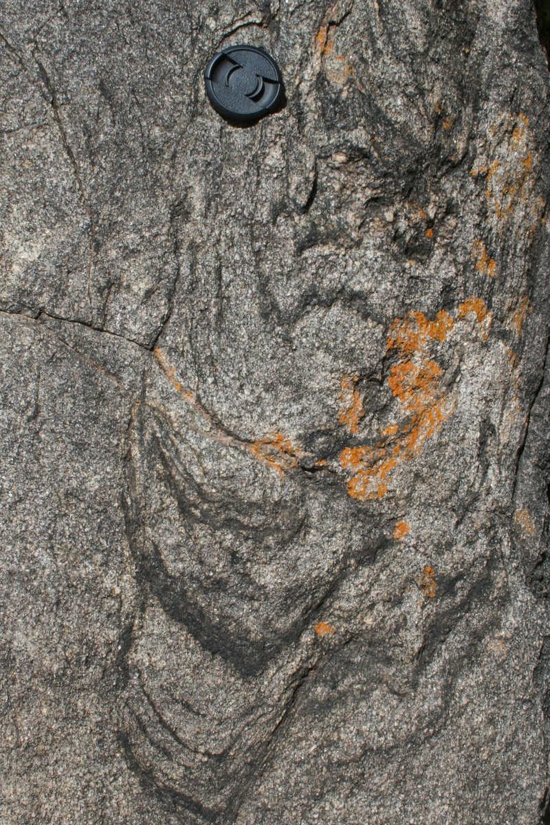 melaniefinch_'s tweet photo. Day 98: Something scary for Halloween: ghost folds! Everything you can see is crystallised melt remnants except for the dark folded layers. These are schlieren (layers of residual biotite) that were folded in the sedimentary rock, probably before melting. #100DaysofGeoscience https://t.co/yUej1pgySG