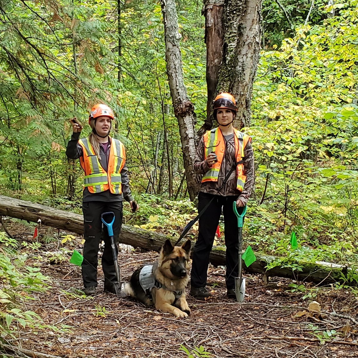 MollyCooperman's tweet photo. Over 200 trees planted at #Tsutswecw Park for #bcriversday thank you @NatureKidsBC and @info_salmon #Interfor for trees and volunteers 🌲🐟🙂 https://t.co/g7AHG0vnCu
