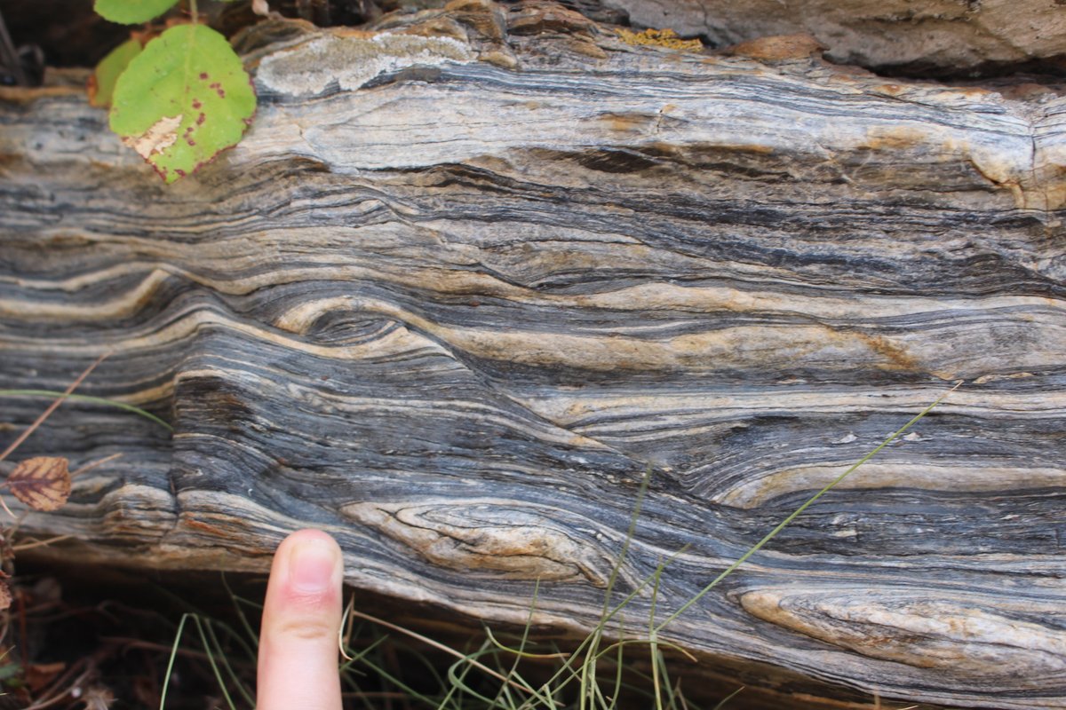 melaniefinch_'s tweet photo. Day 99: Folds, faults and flanking folds in banded quartzite from Cap de Creus, N Spain.
#100DaysofGeoscience https://t.co/n3XZZJbFIj