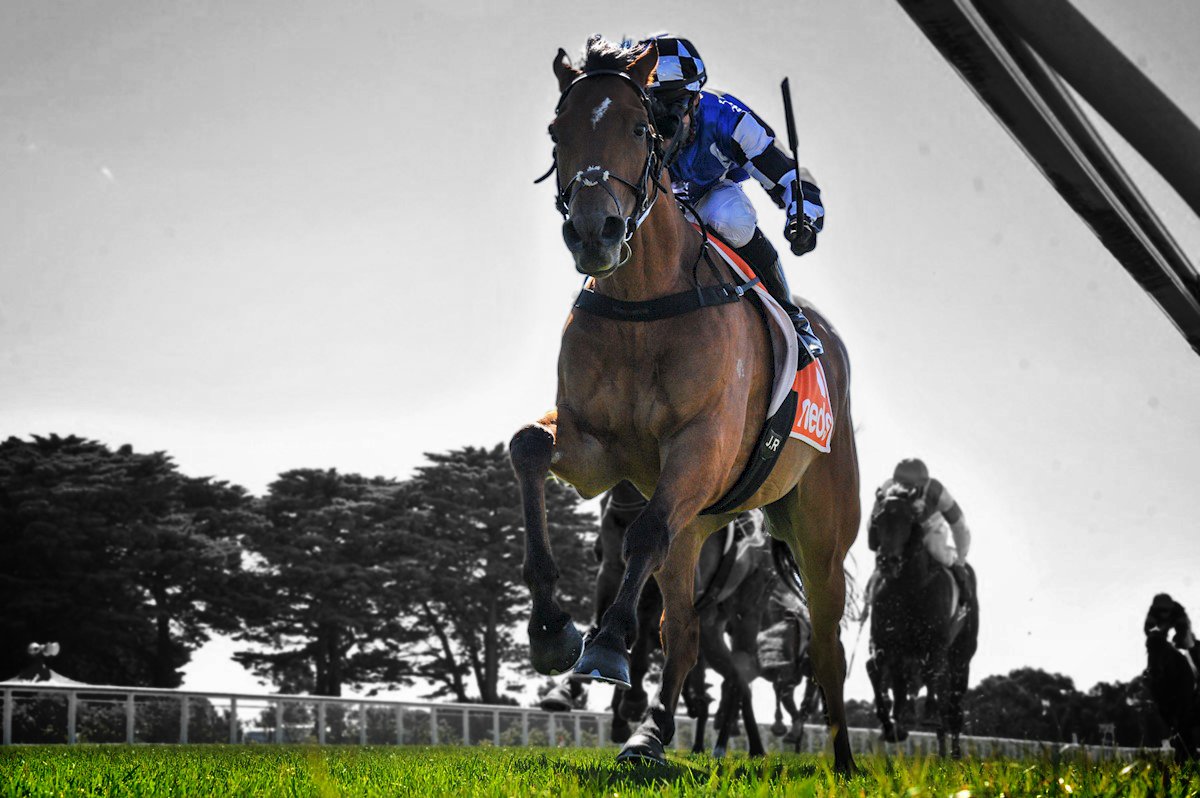 ausbloodstock2's tweet photo. HERMAN HESSE gets a nice ride from Josh Richards at Mornington yesterday to win in dominant fashion πͺ
π @cmaherracing
πΈ @Racing__Photos
π Winners page π
https://t.co/k9TacxJm3s
#AustralianBloodstock #ImportSuccess https://t.co/9P7hZm5ZVe