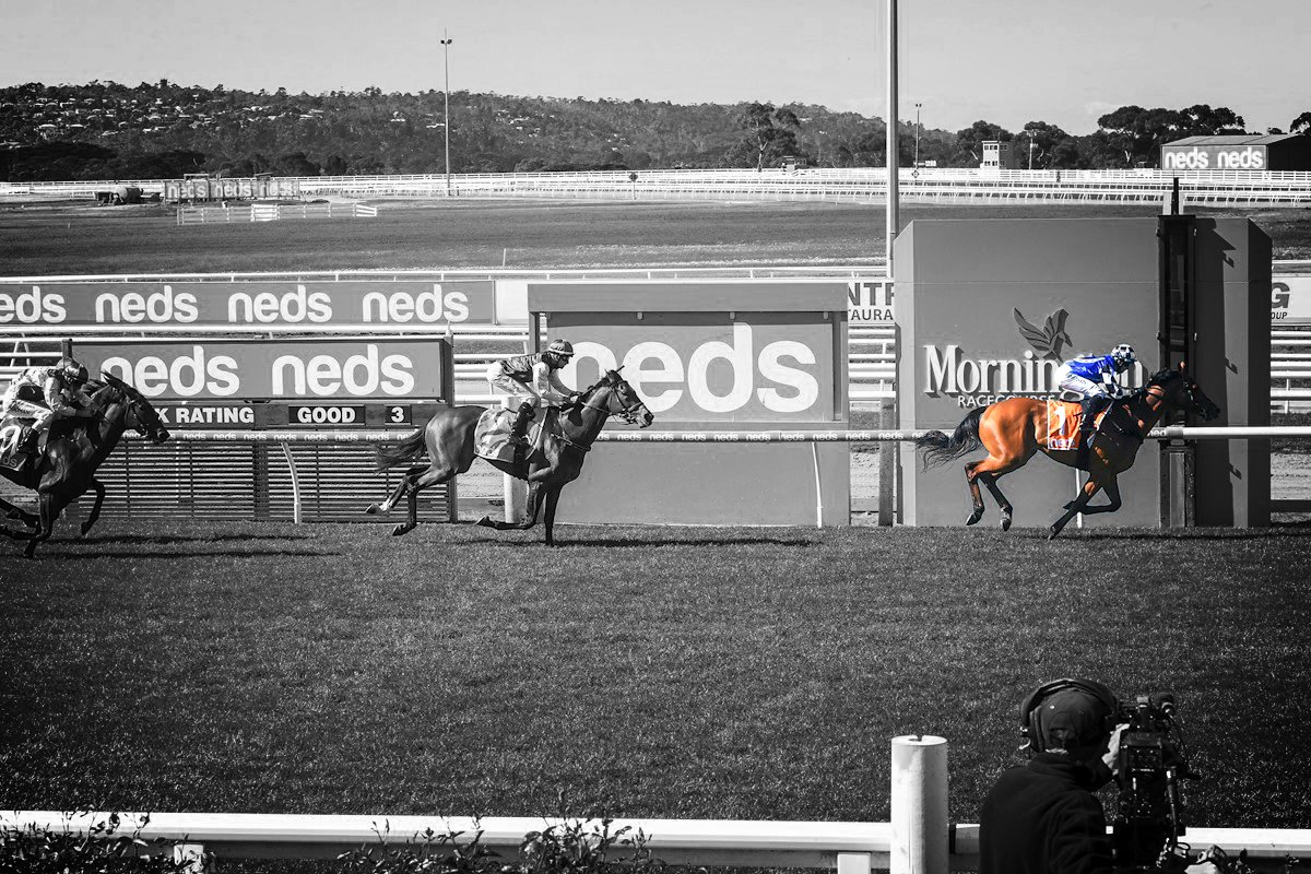 ausbloodstock2's tweet photo. HERMAN HESSE gets a nice ride from Josh Richards at Mornington yesterday to win in dominant fashion πͺ
π @cmaherracing
πΈ @Racing__Photos
π Winners page π
https://t.co/k9TacxJm3s
#AustralianBloodstock #ImportSuccess https://t.co/9P7hZm5ZVe