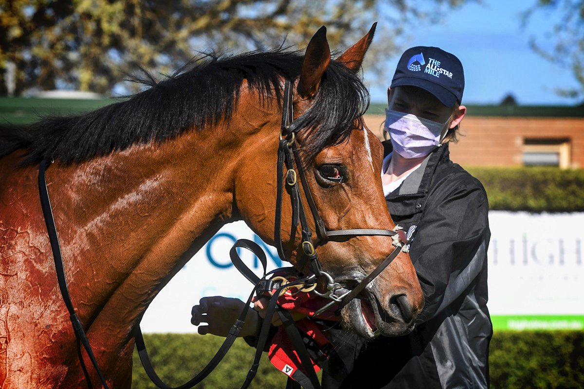 ausbloodstock2's tweet photo. HERMAN HESSE gets a nice ride from Josh Richards at Mornington yesterday to win in dominant fashion πͺ
π @cmaherracing
πΈ @Racing__Photos
π Winners page π
https://t.co/k9TacxJm3s
#AustralianBloodstock #ImportSuccess https://t.co/9P7hZm5ZVe