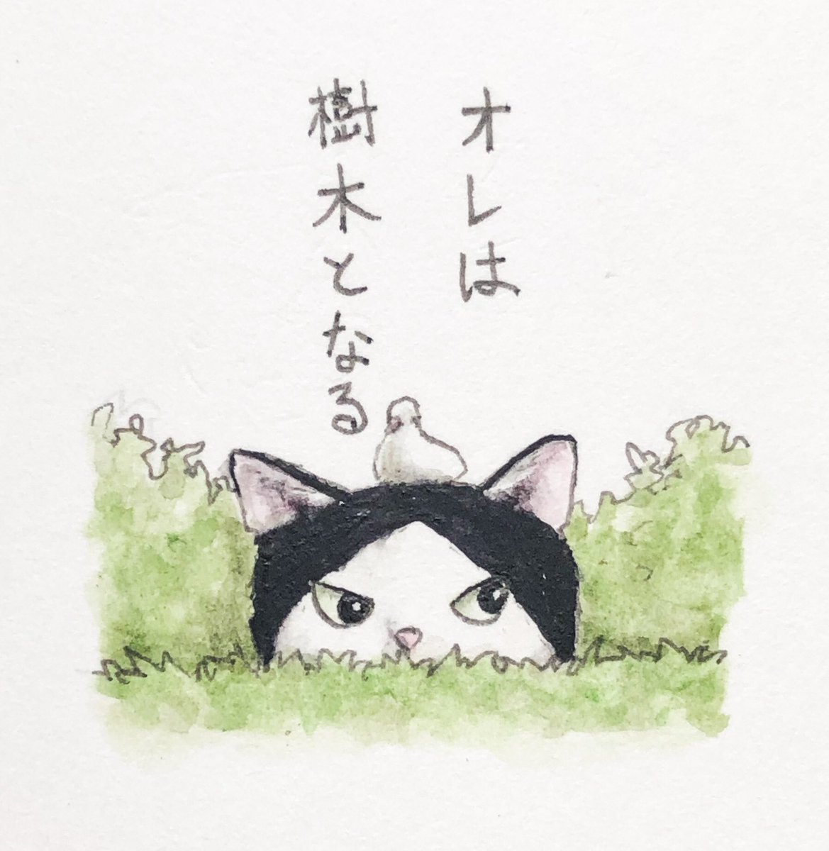 『エージェントは潜入す』🔎

潜む者、森の如し🌲😼🌲

#キミとダスキス 