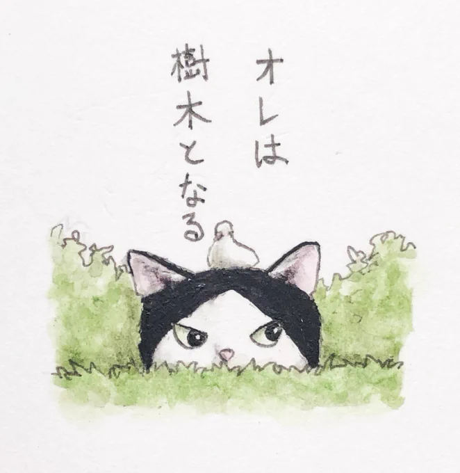 『エージェントは潜入す』🔎

潜む者、森の如し🌲😼🌲

#キミとダスキス 
