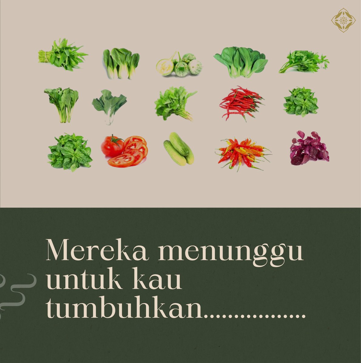 arvinpratama__'s tweet photo. Suka bertani tapi tidak punya halaman di rumah? Home Farming bisa loh jadi solusinya. Tinggal tempel deh tanaman di tembok, atap carport, rooftop, pot dan jadi deh.

@LPDP_RI 

#SwasembadaAngan
#lpdp_ri
#IndonesiaTumbuhIndonesiaTangguh
#DiriUntukNegeri
#AkuPastiMengabdi
#PK175 https://t.co/zvhNHJRBRx