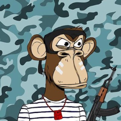 asianNFTguy's tweet photo. #WarApes https://t.co/aV0l1XoCpE