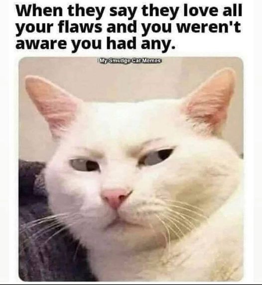 RomansEmpire71's tweet photo. #OMGEE - #HowRude!? 😅🤨 https://t.co/2UJmfUeiIB