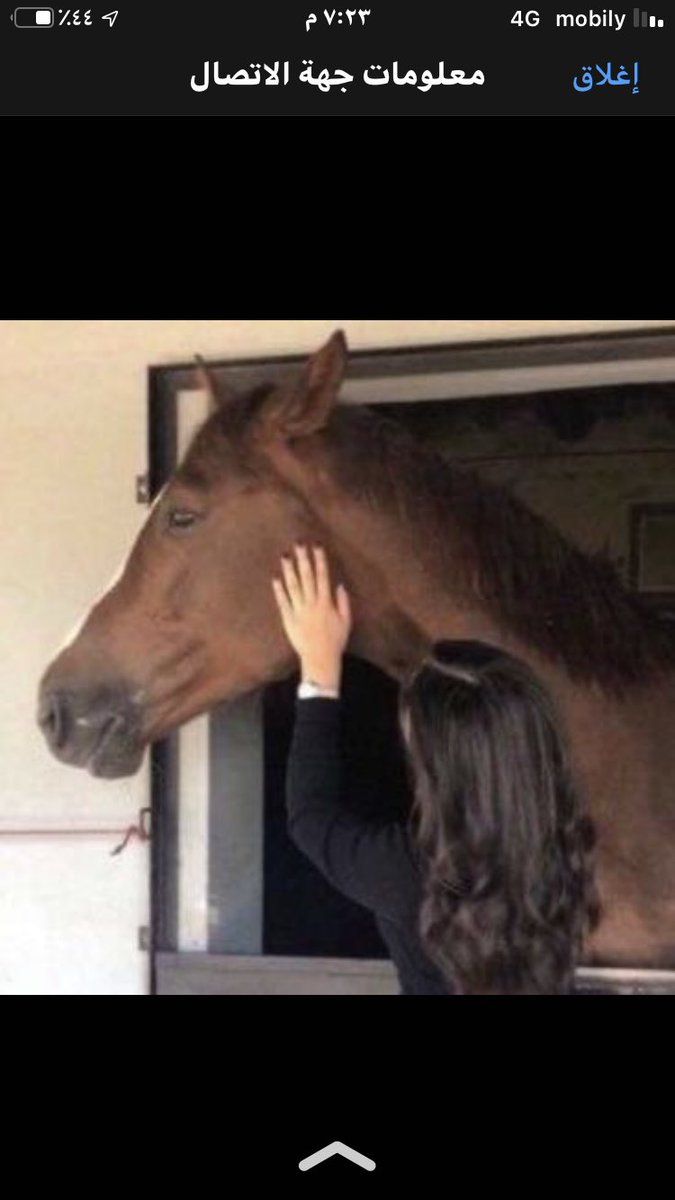 Tarfalabdallah's tweet photo. #عهدي_الثالث :
إذا ظننت أنك لا شيء في هذا العالم، تذكر أنك كل شيء في قلبي!. https://t.co/21T0mbK2Nt