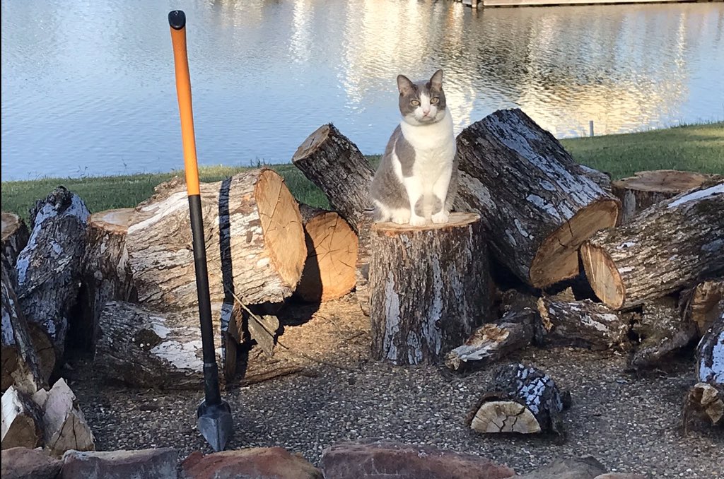 RealRuggle's tweet image. Log splitting weather
