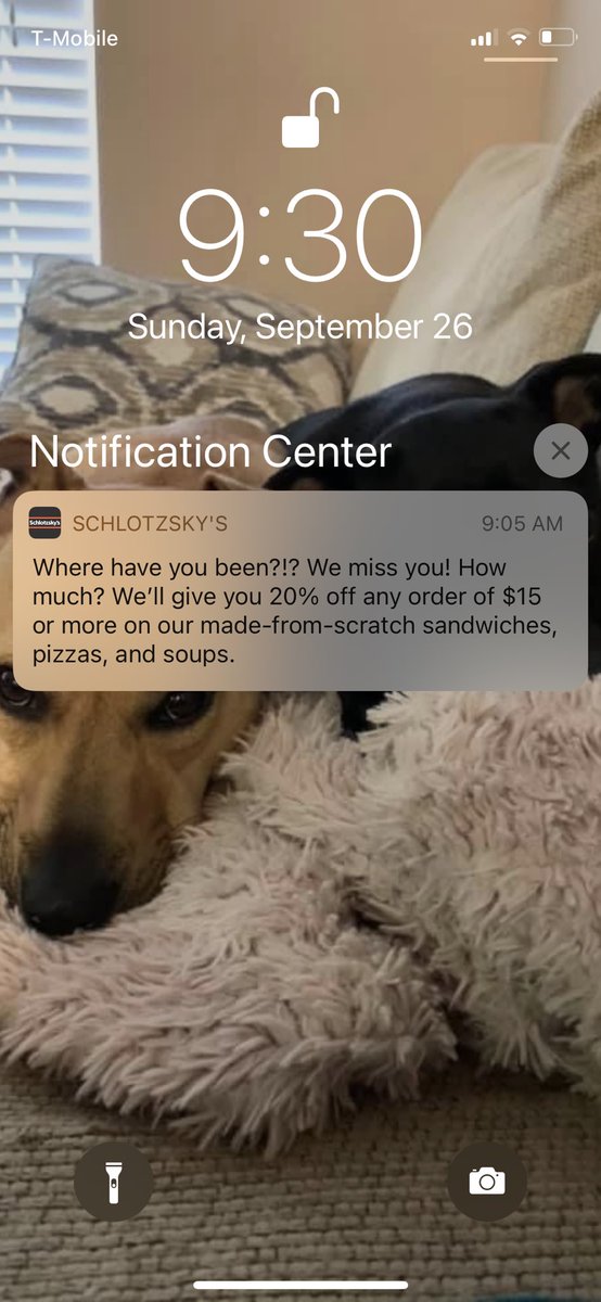 try “where the hell have you been, loca?!?” and maybe i’ll buy a sandwich <a href="/Schlotzskys/">Schlotzsky's Deli</a>