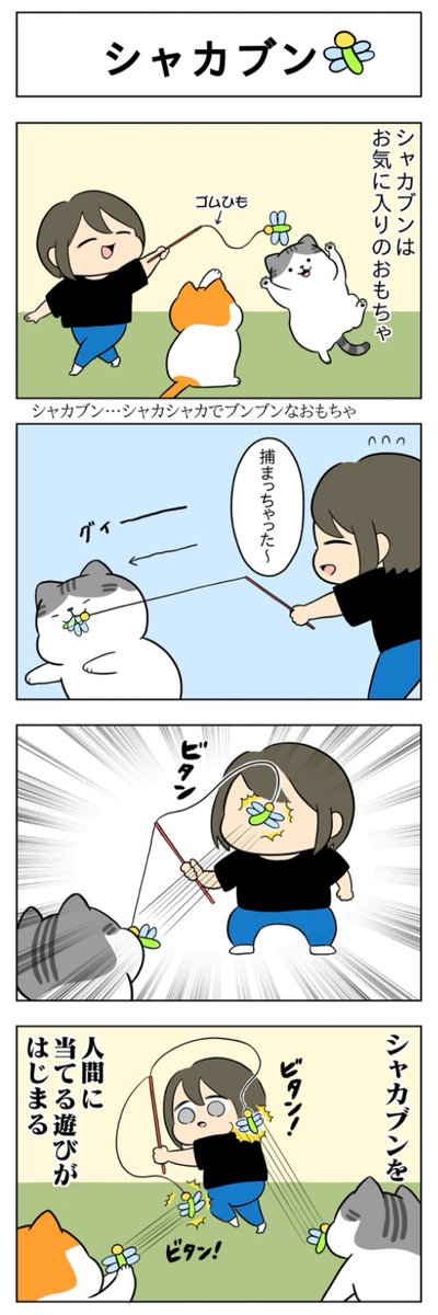 シャカブン│フェリシモ猫部 https://t.co/SQNsIkcigZ 