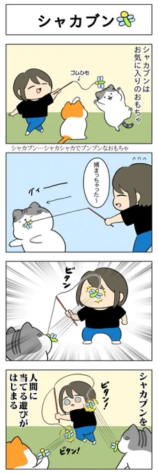 シャカブン│フェリシモ猫部 https://t.co/SQNsIkcigZ 