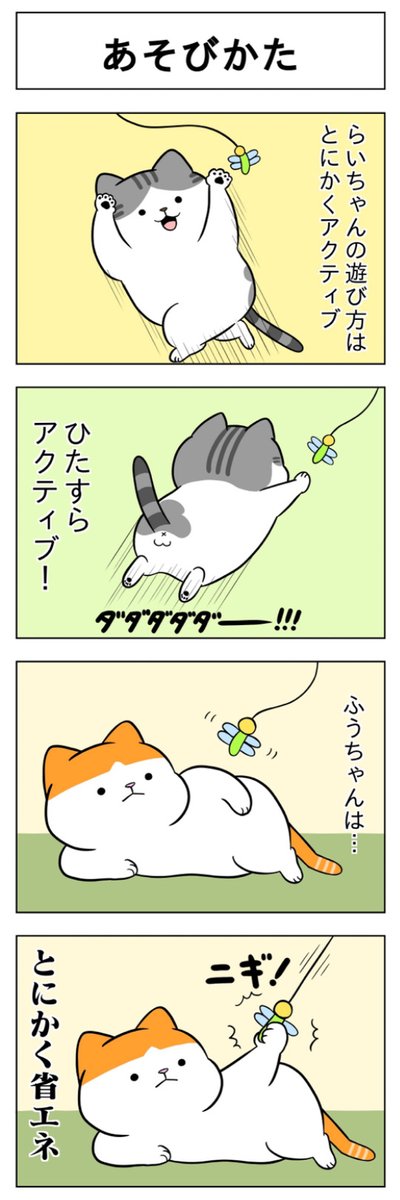 シャカブン│フェリシモ猫部 https://t.co/SQNsIkcigZ 