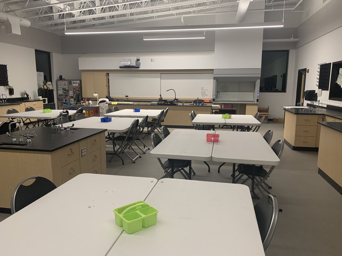 Lisa Cavola tweet media