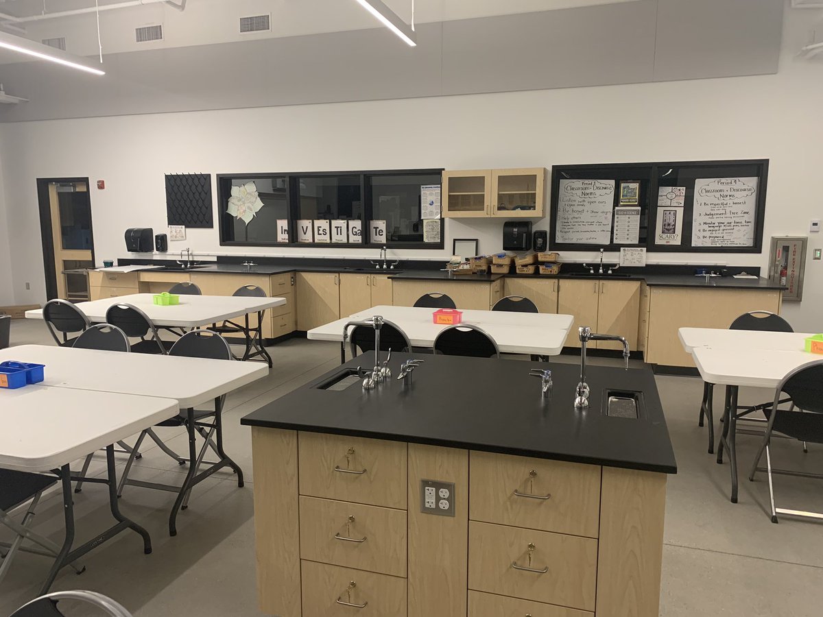 Lisa Cavola tweet media