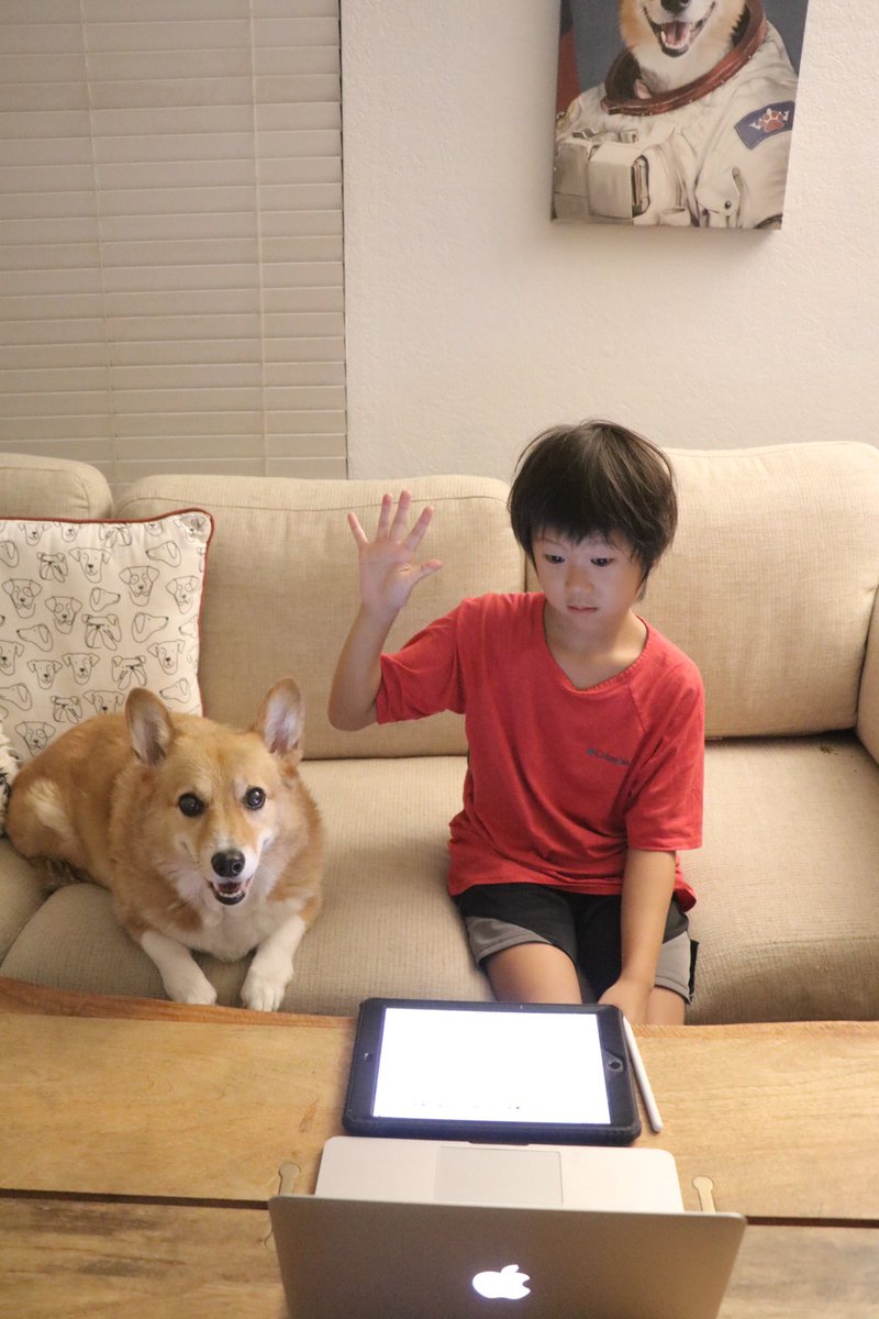 MJ The Corgi tweet media