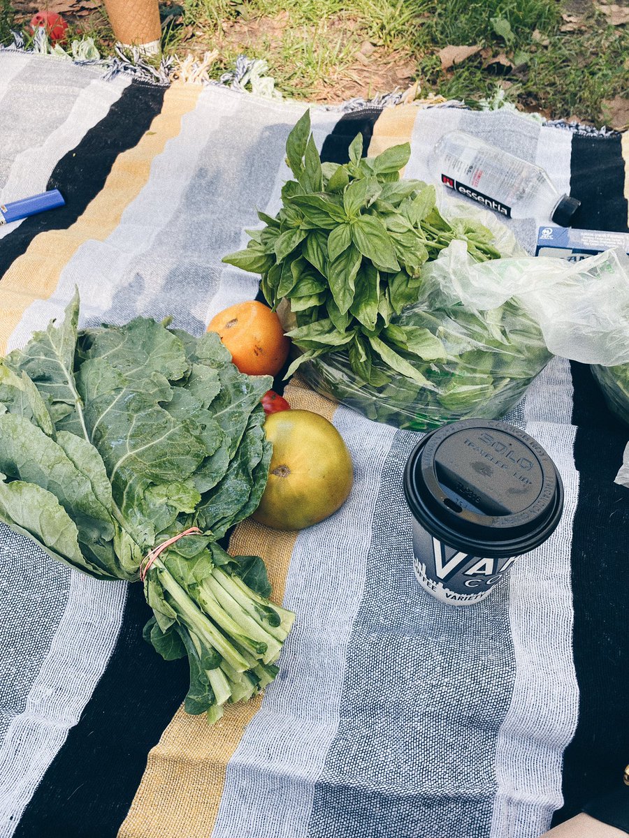 AWildNative's tweet image. Sundays