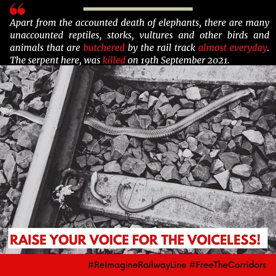 Deepor Beel #ReimagineRailwayLine tweet media