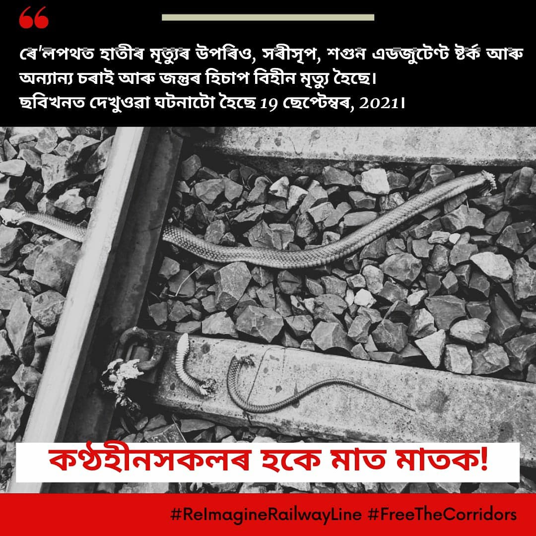 Deepor Beel #ReimagineRailwayLine tweet media