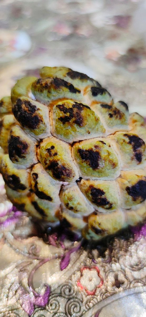 PreetiSoch's tweet photo. Fruit one of my favourite 😋
#fruitsbasket #fruits #vitamins #nature #amazinfruit #sarifa #ONEPIECE #newfruits #healthcare #HealthyFood #SEVENTEEN https://t.co/215YxWzylA