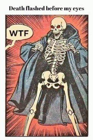 Quandisa75's tweet photo. We all knew Death was a flasher. Does that mean Zandy is too?! Maybe that's why she's so sweaty; she's using flashing her tits to cool off. https://t.co/5MPKMxqfbw