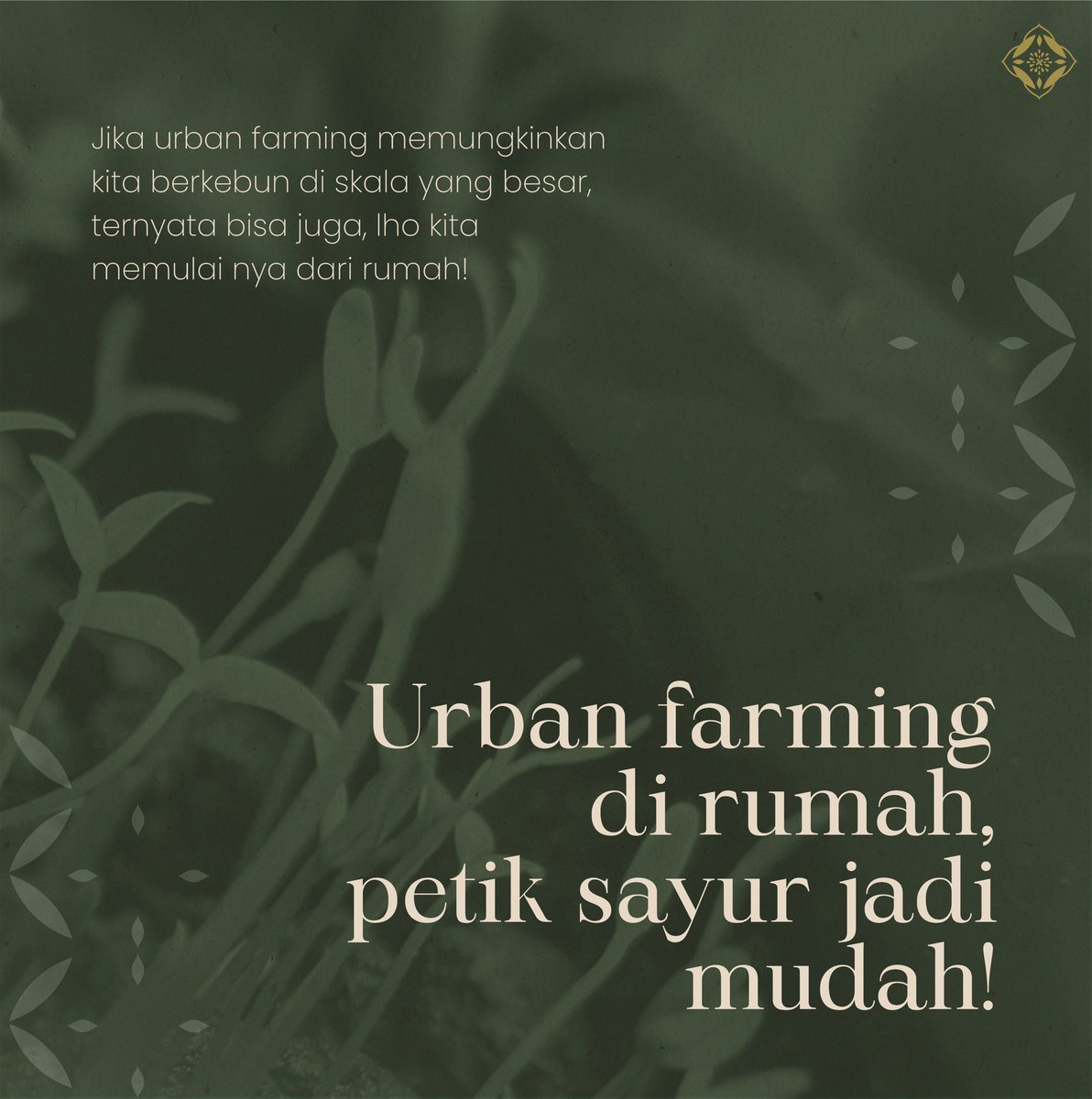sellyshafira's tweet photo. Apa sih home farming?
Suka bertani tapi tidak punya halaman di rumah? home Farming bisa loh jadi solusinya. Tinggal tempel deh tanaman di tembok, sampai atap carport.
#SwasembadaAngan
#lpdp_ri #IndonesiaTumbuhIndonesiaTangguh #DiriUntukNegeri #AkuPastiMengabdi #PK175 @lpdp_ri https://t.co/V15c1vSNDD
