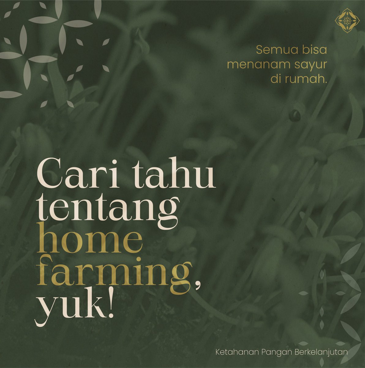 sellyshafira's tweet photo. Apa sih home farming?
Suka bertani tapi tidak punya halaman di rumah? home Farming bisa loh jadi solusinya. Tinggal tempel deh tanaman di tembok, sampai atap carport.
#SwasembadaAngan
#lpdp_ri #IndonesiaTumbuhIndonesiaTangguh #DiriUntukNegeri #AkuPastiMengabdi #PK175 @lpdp_ri https://t.co/V15c1vSNDD