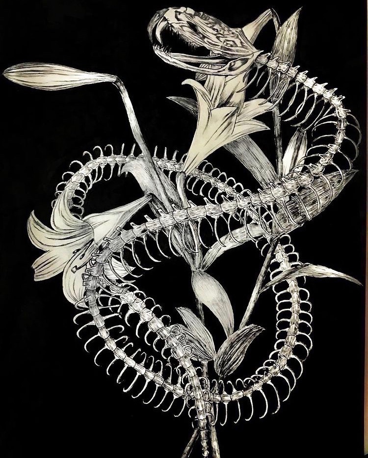 ヘビさんができてきましたねぇ🐍 色鉛筆画