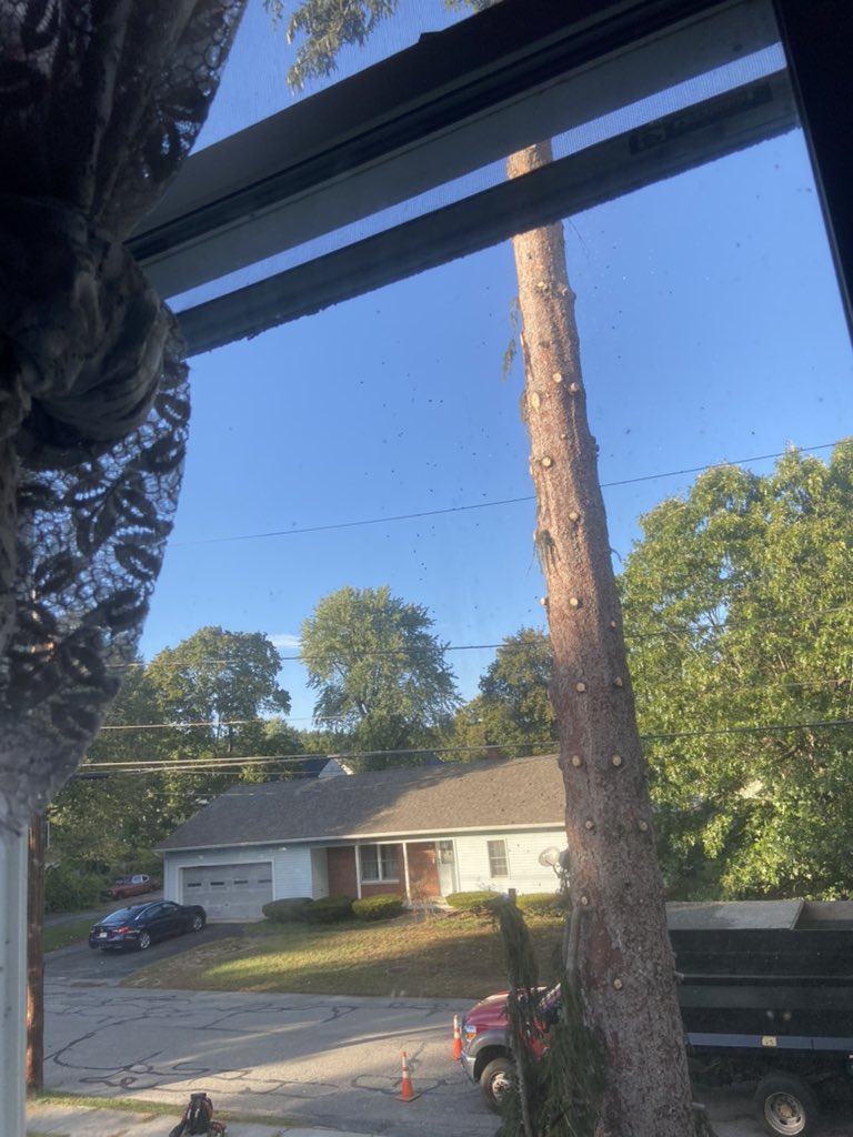 Lea 🦀 tweet media