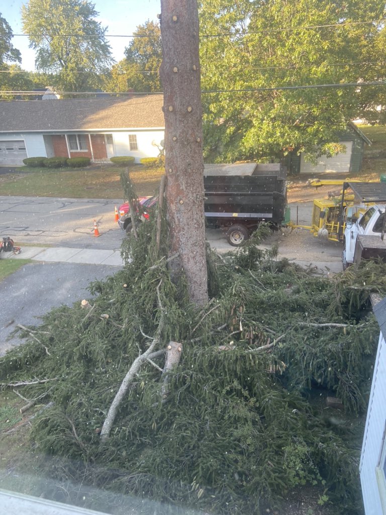 Lea 🦀 tweet media