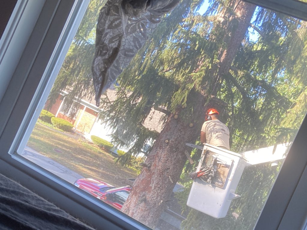 Lea 🦀 tweet media