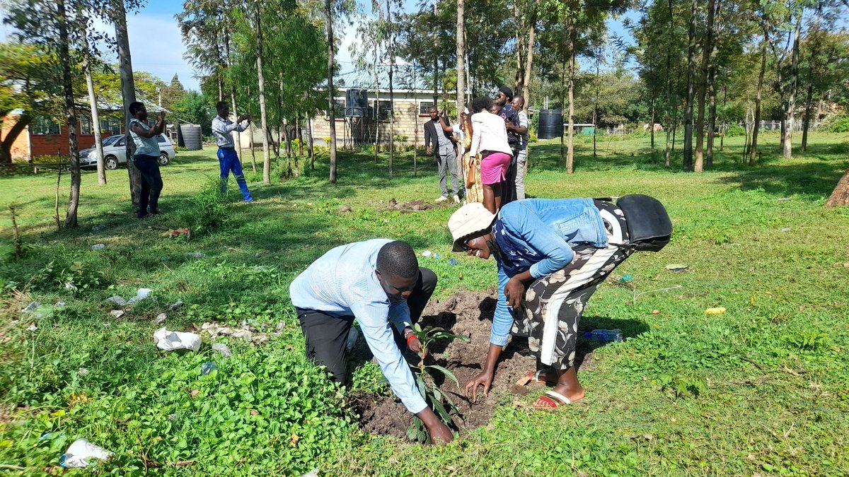 healgeneration1's tweet photo. Our team was also represented in Advocacy and Lobbying Training under POWER2YOUTH program, everywhere we go we plant trees 🌳as we live @SivoFoundation @NAYAKenya @WAWAKenya1 @footprints4c @AwinoFoundation @CavinOdera2015 @YALIRLCEA @Amref_Kenya https://t.co/WgLXSmz8q4