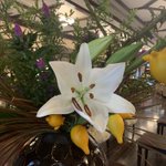 ツイートに含まれる画像