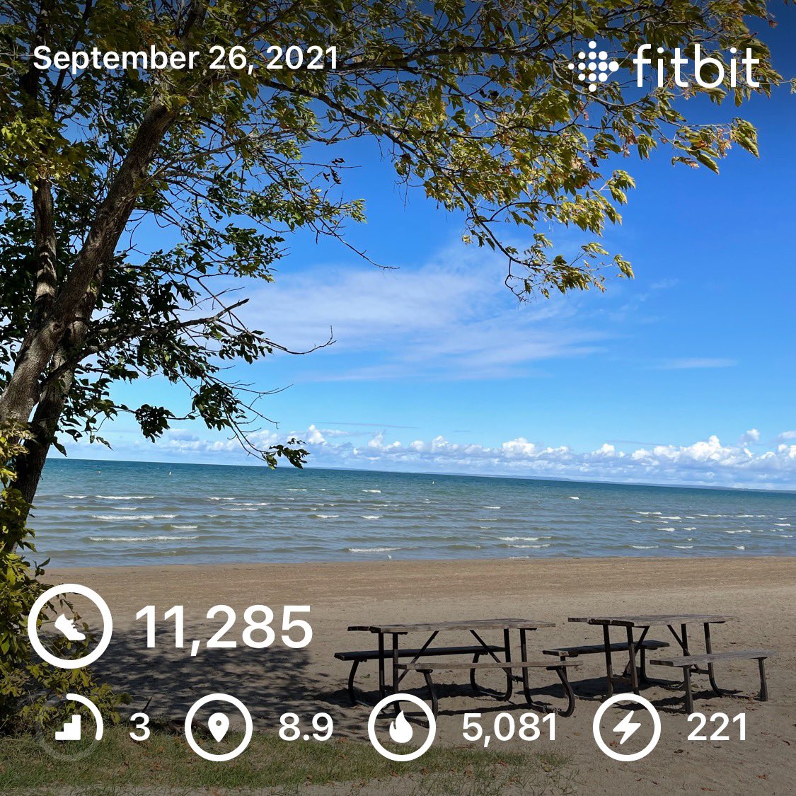 RebootWithRob's tweet photo. Last day up in #WasagaBeach before heading back to the city. Got a great walk in and the sun got me in good spirits. This will be an epic week! Who’s with me for making it awesome? 💚

#rebootwithrob #weightlossjourney #ketocanada #fitbitfam #ketofam #weightlosstransformation https://t.co/tCxKLaMjPb