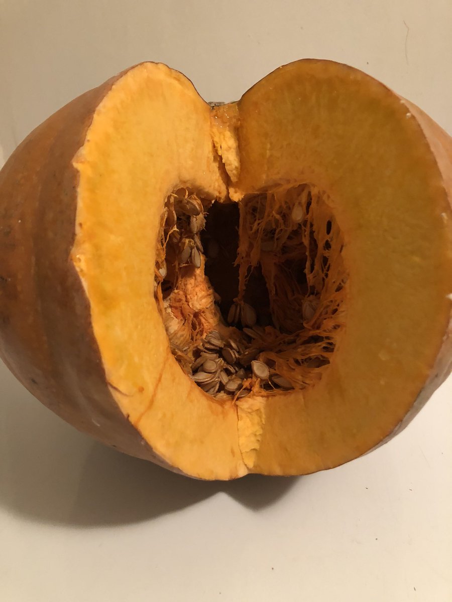 GracianDr's tweet photo. En el monte abunda, y en la cocina llama AUYAMA. Otro de los vegetales más completos de la naturaleza y libre de agrotóxicos . Una sola mata de auyama puede alimentar unas 200 personas. Se le puede dar a un bebé después de los 6 meses nacido vivo cocida mezclada con leche de coco https://t.co/jiKG3yzKtn