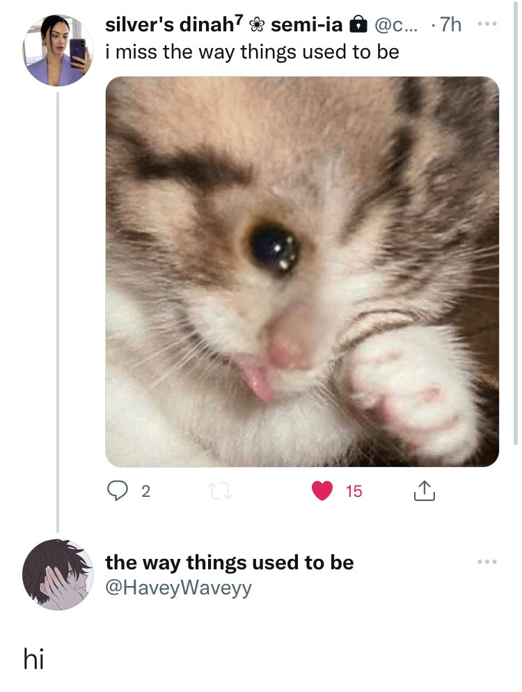 gabs tweet media