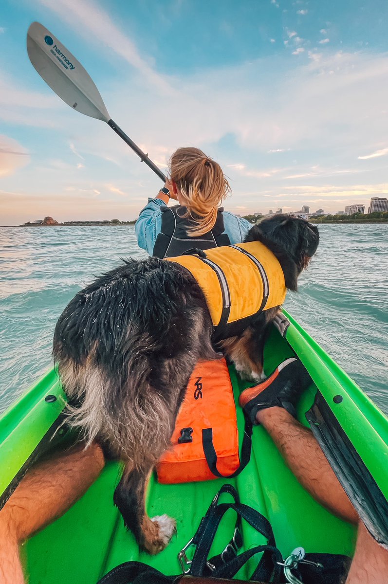 bfeigenbaum's tweet photo. 🐾 🛶 https://t.co/TRONk939Qz
