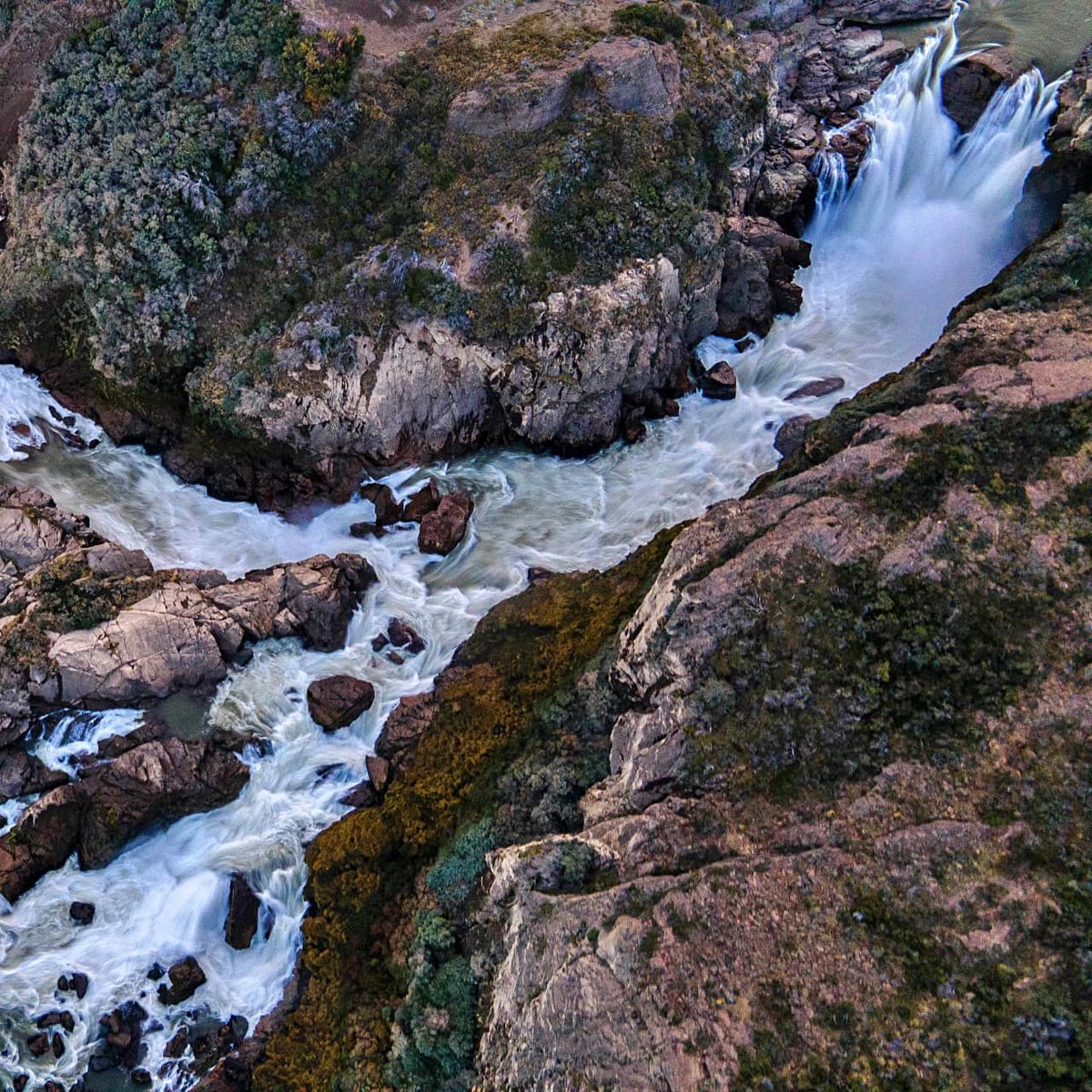 AysenPatagonia_'s tweet photo. Ven a conocer Puerto Ibáñez! 

Podrás cabalgar alrededor del pueblo y del lago General Carrera.
También pesca en el río Ibáñez y en Península Levicán, con vista al cerro Pirámide.
Escala en El Maitenal y antes de llegar verás el Salto del río Ibáñez.

ℹ️https://t.co/I32ALEkN6L https://t.co/fqGviCeree